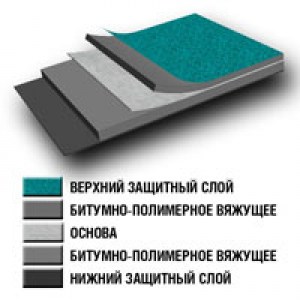 Биполь 1